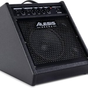 loa trong dien alesis nitro amp pro