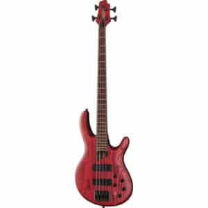 dan guitar bass cort b4 element 6