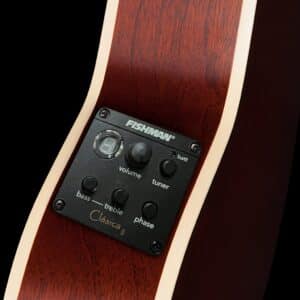 dan guitar classic godin arena cw clasica ii 2