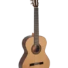 dan guitar classic paco castillo 202 2