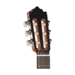 Đàn Guitar Classic Paco Castillo 202 dan guitar classic paco castillo 202