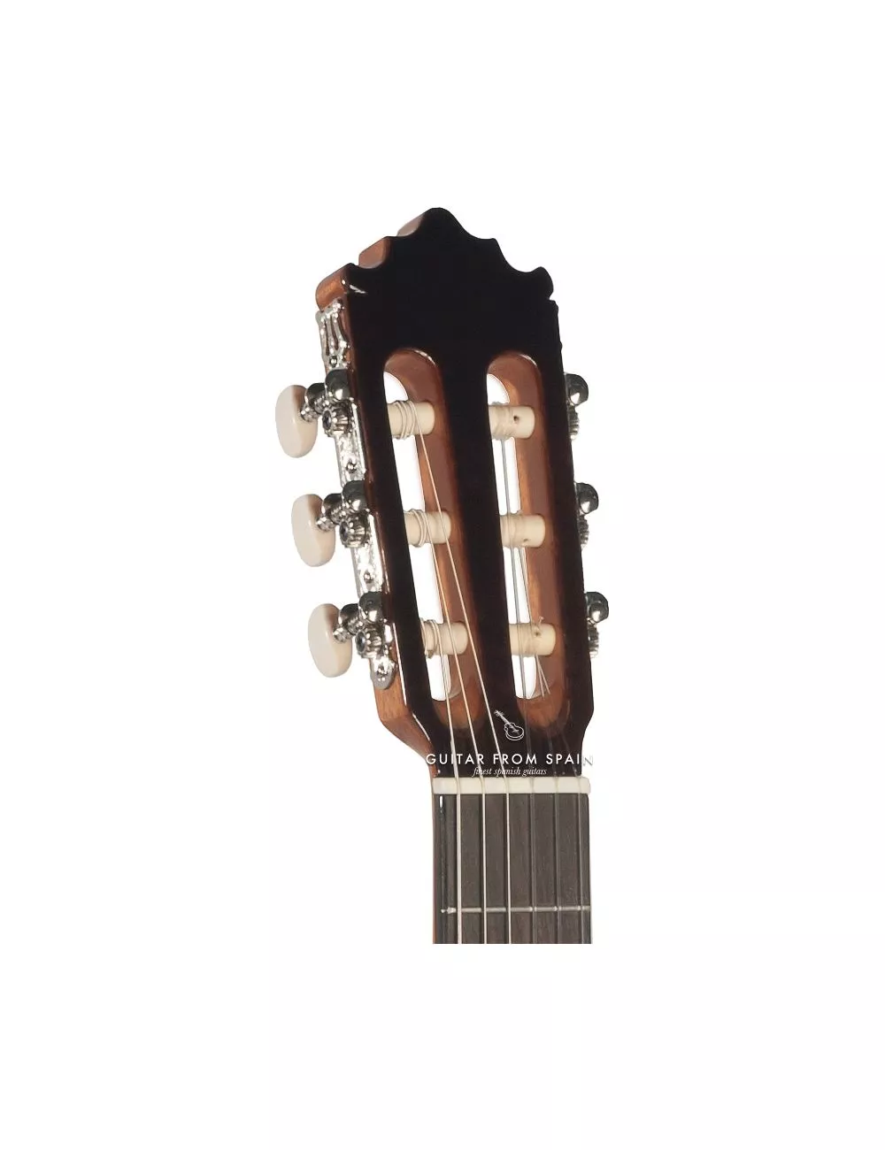 dan guitar classic paco castillo 202 dan guitar classic paco castillo 202