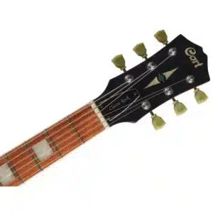 dan guitar dien cort cr300 1