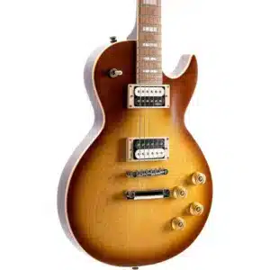dan guitar dien cort cr300 3