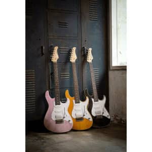 dan guitar dien cort g280 select 1