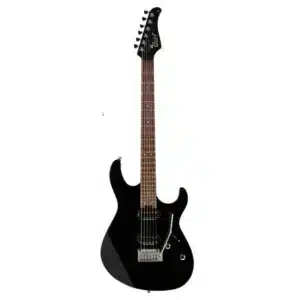 dan guitar dien cort g300 pro 2