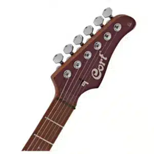 dan guitar dien cort g300 pro 2