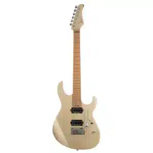 dan guitar dien cort g300 pro 3