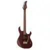 dan guitar dien cort g300 pro 4