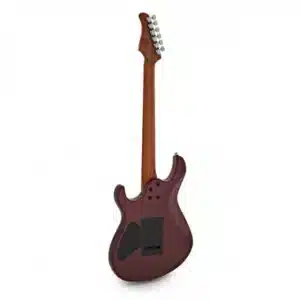 dan guitar dien cort g300 pro 4