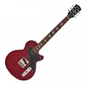 dan guitar dien cort sunset tc 2