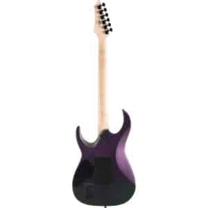 dan guitar dien cort x300 2
