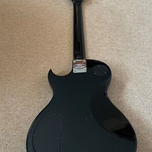 dan guitar dien peavey sc 1
