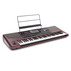 dan organ korg pa1000 4
