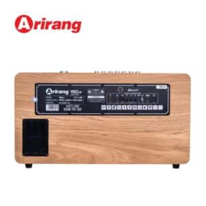 loa di dong arirang mb2iw 3