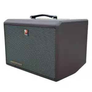 Loa Xách Tay ProSing DSP-236X 240W Bluetooth 5.0 loa karaoke prosing dsp 236x 2