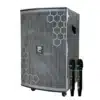 loa keo prosing w12 bee