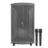 loa keo prosing w15 vn anh sp
