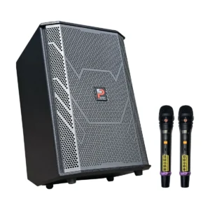 loa xach tay prosing ps 909 1