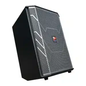 Loa Kéo Karaoke ProSing PS-909 300W Kèm 2 Micro Và Túi Đựng loa xach tay prosing ps 909 2