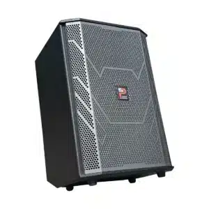 Loa Kéo Karaoke ProSing PS-909 300W Kèm 2 Micro Và Túi Đựng loa xach tay prosing ps 909 3