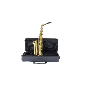 Selmer Prelude Alto Saxophone PAS111 2