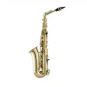 Selmer Prelude Alto Saxophone PAS111 6