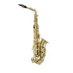 Selmer Prelude Alto Saxophone PAS111 7