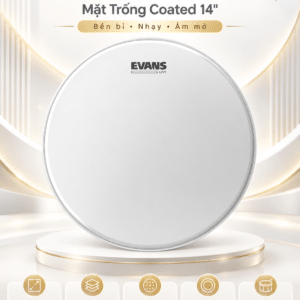 daddario evans b14uv1
