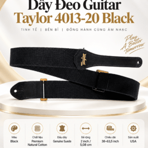 day deo guitar taylor 4013 20 black