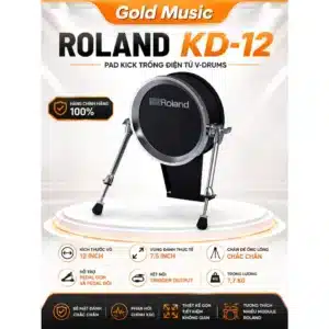 roland trong pad kd 12 1