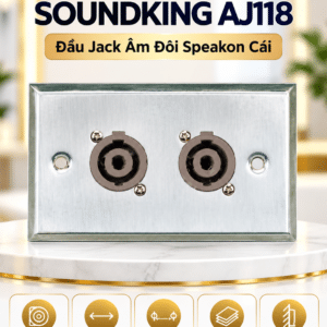 soundking aj118