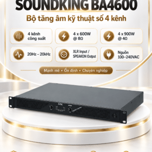 soundking ba4600
