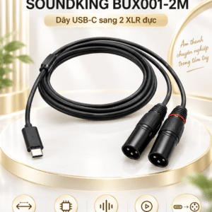 soundking bux001 2m