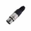 soundking ca113 dau jack canon cai 1