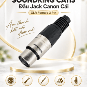 soundking ca113 dau jack canon cai