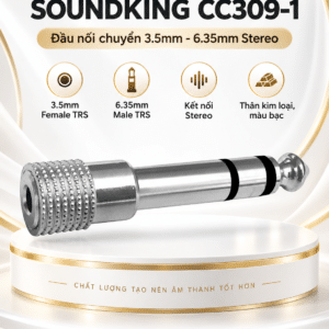 soundking cc309 1
