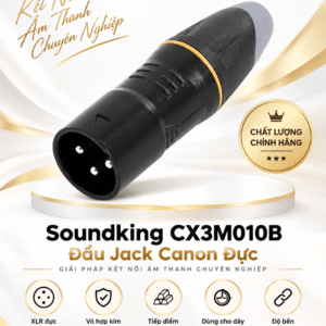 soundking cx3m010b