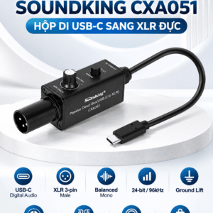 soundking cxa051