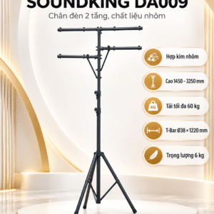 soundking da009
