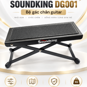 soundking dg001