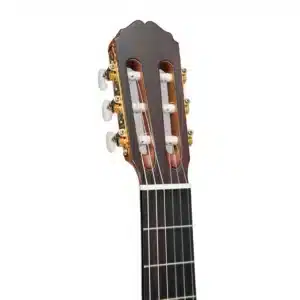 takamine dan guitar classic dh90 1