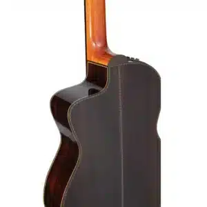 takamine dan guitar classic dh90