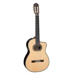 takamine dan guitar classic dh90 4