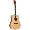 tanglewood dan guitar acoustic tm5 1