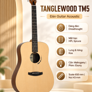 tanglewood dan guitar acoustic tm5