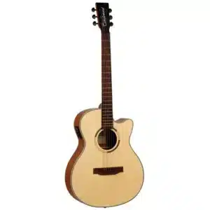tanglewood dan guitar acoustic ts4ce 1