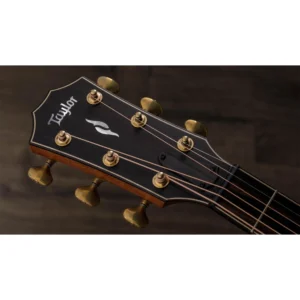 taylor dan guitar acoustic rw adirondack spr 814ce builder 2