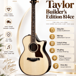 taylor dan guitar acoustic rw adirondack spr 814ce builder
